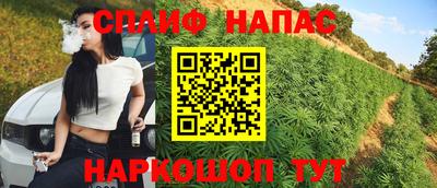 гашик Малоярославец