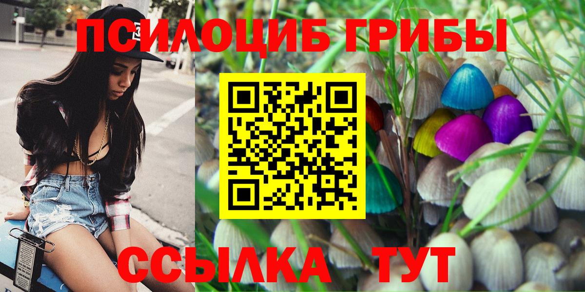 Галлюциногенные грибы Psilocybe Феодосия